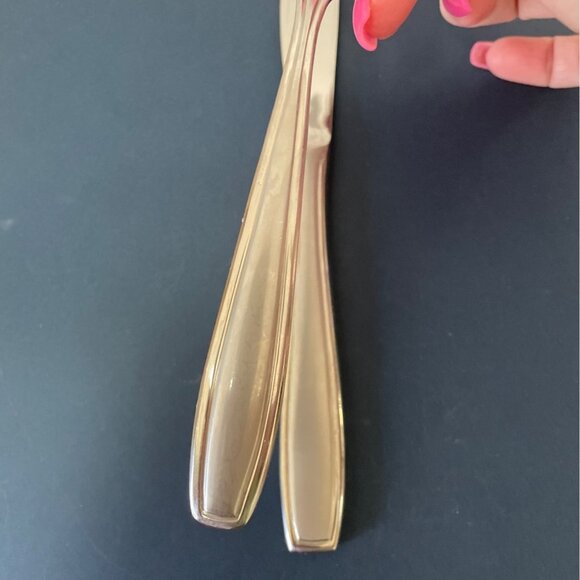 Vtg Oneida Satin Bristol Everdale Salad Dessert Fork Dinner Knife Flatware Set - Picture 1 of 8